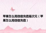 蘋果怎么用微信充值易次元（蘋果怎么用微信充值）