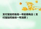 支付寶如何查詢一年的用電量（支付寶如何查詢一年消費(fèi)）