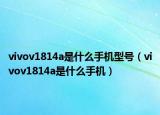 vivov1814a是什么手機(jī)型號(hào)（vivov1814a是什么手機(jī)）