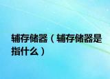 輔存儲器（輔存儲器是指什么）