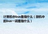 計(jì)算機(jī)中bus是指什么（微機(jī)中的bus一詞是指什么）