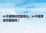 xr不能用動(dòng)態(tài)壁紙么（xr不能用動(dòng)態(tài)壁紙嗎）