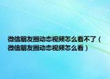 微信朋友圈動態(tài)視頻怎么看不了（微信朋友圈動態(tài)視頻怎么看）