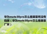 華為mate30pro怎么看屏幕有沒有燒屏（華為mate30pro怎么看屏幕廠家）
