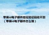 蘋果id電子郵件地址驗證碼收不到（蘋果id電子郵件怎么填）