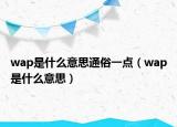 wap是什么意思通俗一點（wap是什么意思）