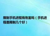 限制手機(jī)進(jìn)程有危害嗎（手機(jī)進(jìn)程是限制幾個(gè)好）