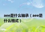 aee是什么軸承（aee是什么格式）