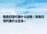 陽春白雪代表什么動物（陽春白雪代表什么生肖）