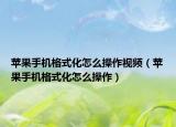 蘋果手機格式化怎么操作視頻（蘋果手機格式化怎么操作）