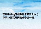蘋果手機(jī)4g網(wǎng)絡(luò)老是卡頓怎么辦（蘋果11剛買幾天出現(xiàn)卡機(jī)卡頓）