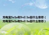 充電寶5v1a和5v2.1a是什么意思（充電寶5v1a和5v2.1a是什么意思）