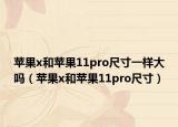 蘋果x和蘋果11pro尺寸一樣大嗎（蘋果x和蘋果11pro尺寸）