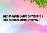 拼多多免費(fèi)種水果怎么樣靠譜嗎（拼多多種水果真的是免費(fèi)的嗎）