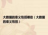 大數(shù)據(jù)的意義包括哪些（大數(shù)據(jù)的意義包括）