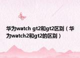 華為watch gt2和gt2區(qū)別（華為watch2和gt2的區(qū)別）