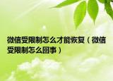 微信受限制怎么才能恢復(fù)（微信受限制怎么回事）