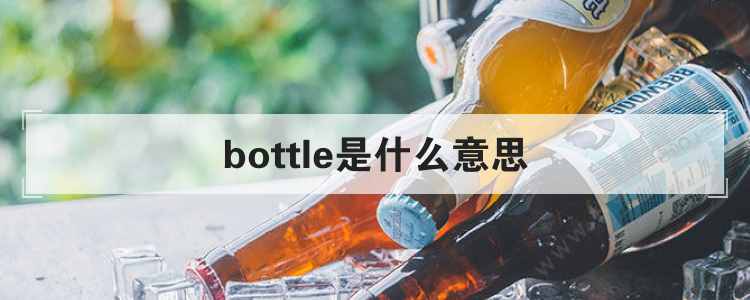 bottle是什么意思