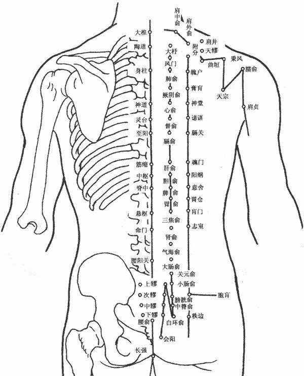人體穴位圖，從頭到腳都標(biāo)的一清二楚