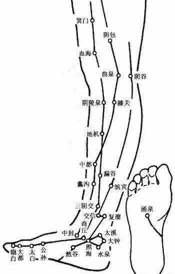 人體穴位圖，從頭到腳都標(biāo)的一清二楚