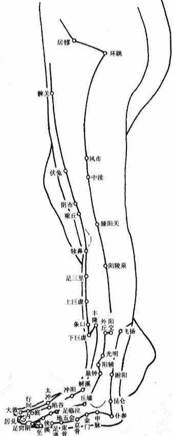 人體穴位圖，從頭到腳都標(biāo)的一清二楚