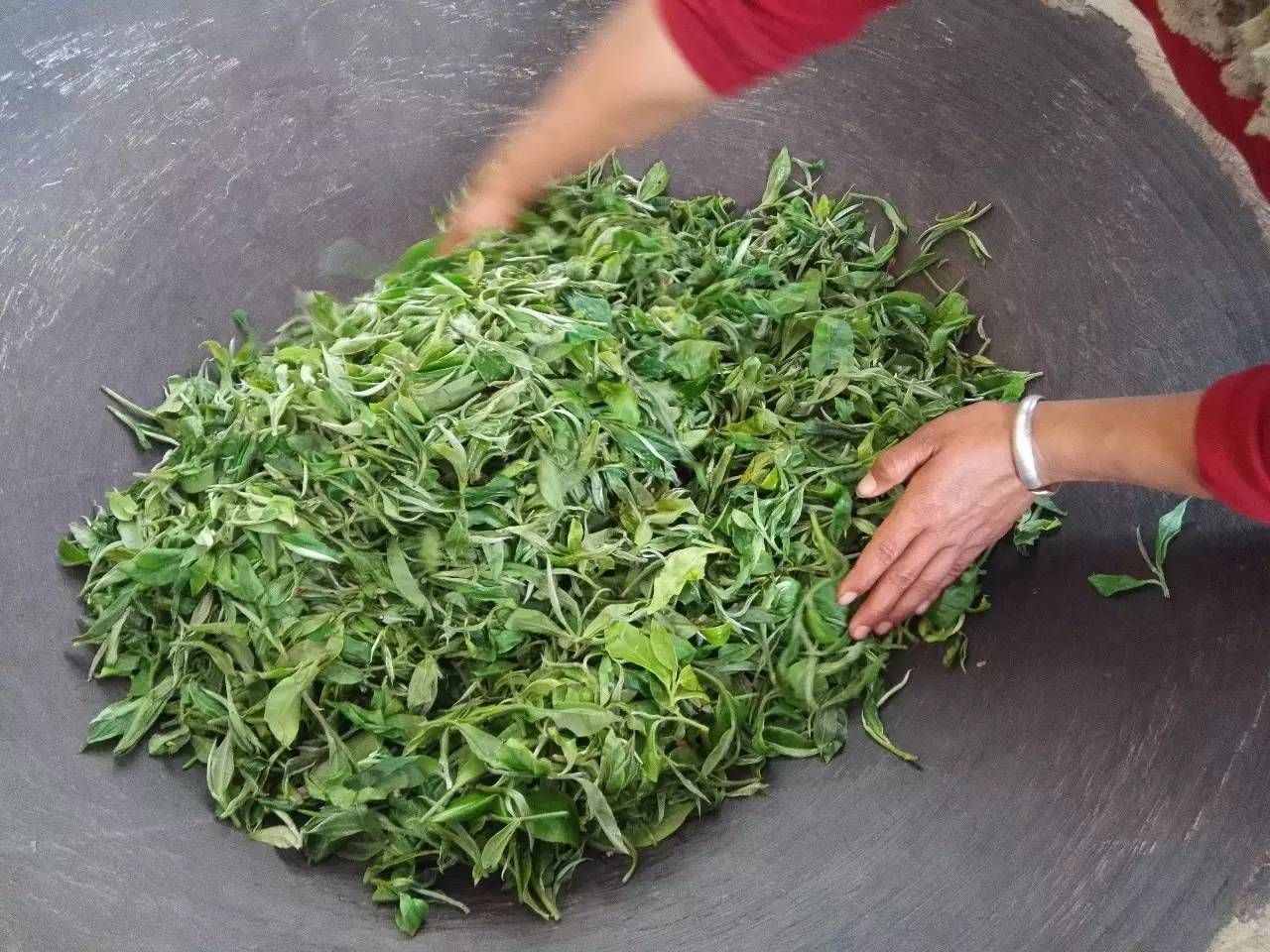 揭秘綠茶內(nèi)幕！不能不知綠茶工藝分類