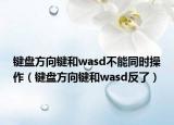 鍵盤方向鍵和wasd不能同時(shí)操作（鍵盤方向鍵和wasd反了）