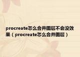 procreate怎么合并圖層不會沒效果（procreate怎么合并圖層）