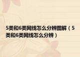 5類和6類網(wǎng)線怎么分辨圖解（5類和6類網(wǎng)線怎么分辨）