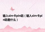 輸入sim卡pin碼（輸入sim卡pin碼是什么）