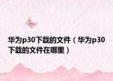 華為p30下載的文件（華為p30下載的文件在哪里）