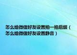 怎么給微信好友設(shè)置拍一拍后綴（怎么給微信好友設(shè)置靜音）