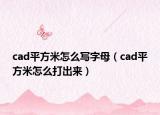 cad平方米怎么寫字母（cad平方米怎么打出來）