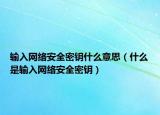 輸入網(wǎng)絡安全密鑰什么意思（什么是輸入網(wǎng)絡安全密鑰）