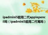 ipadmini5能用二代applepencil嗎（ipadmini5能用二代筆嗎）