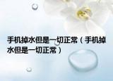 手機掉水但是一切正常（手機掉水但是一切正常）