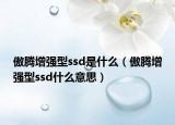 傲騰增強(qiáng)型ssd是什么（傲騰增強(qiáng)型ssd什么意思）