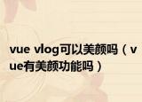 vue vlog可以美顏嗎（vue有美顏功能嗎）