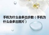 手機(jī)為什么會(huì)多出步數(shù)（手機(jī)為什么會(huì)多出照片）