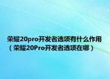榮耀20pro開發(fā)者選項(xiàng)有什么作用（榮耀20Pro開發(fā)者選項(xiàng)在哪）