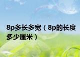 8p多長多寬（8p的長度多少厘米）