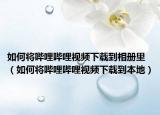 如何將嗶哩嗶哩視頻下載到相冊里（如何將嗶哩嗶哩視頻下載到本地）
