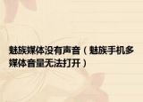 魅族媒體沒有聲音（魅族手機多媒體音量無法打開）