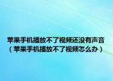 蘋果手機(jī)播放不了視頻還沒有聲音（蘋果手機(jī)播放不了視頻怎么辦）