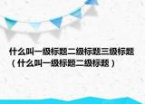 什么叫一級(jí)標(biāo)題二級(jí)標(biāo)題三級(jí)標(biāo)題（什么叫一級(jí)標(biāo)題二級(jí)標(biāo)題）