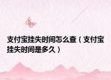 支付寶掛失時(shí)間怎么查（支付寶掛失時(shí)間是多久）