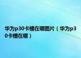 華為p30卡槽在哪圖片（華為p30卡槽在哪）