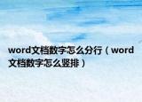 word文檔數(shù)字怎么分行（word文檔數(shù)字怎么豎排）