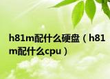 h81m配什么硬盤（h81m配什么cpu）
