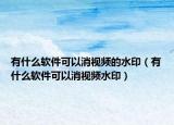 有什么軟件可以消視頻的水?。ㄓ惺裁窜浖梢韵曨l水?。? /></span></a>
                        <h2><a href=